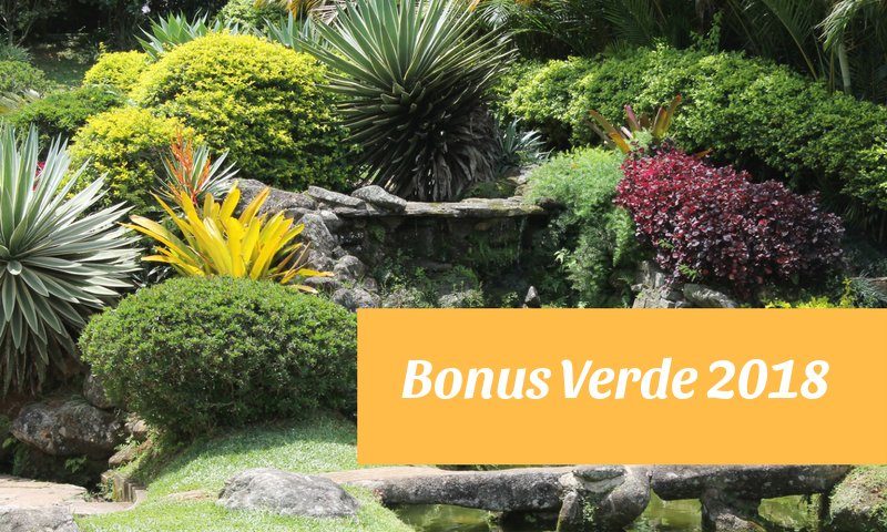 bonus verde