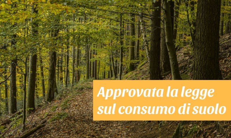 approvata legge sul consumo di suolo