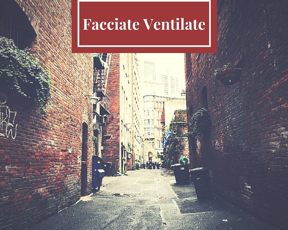 facciate ventilate